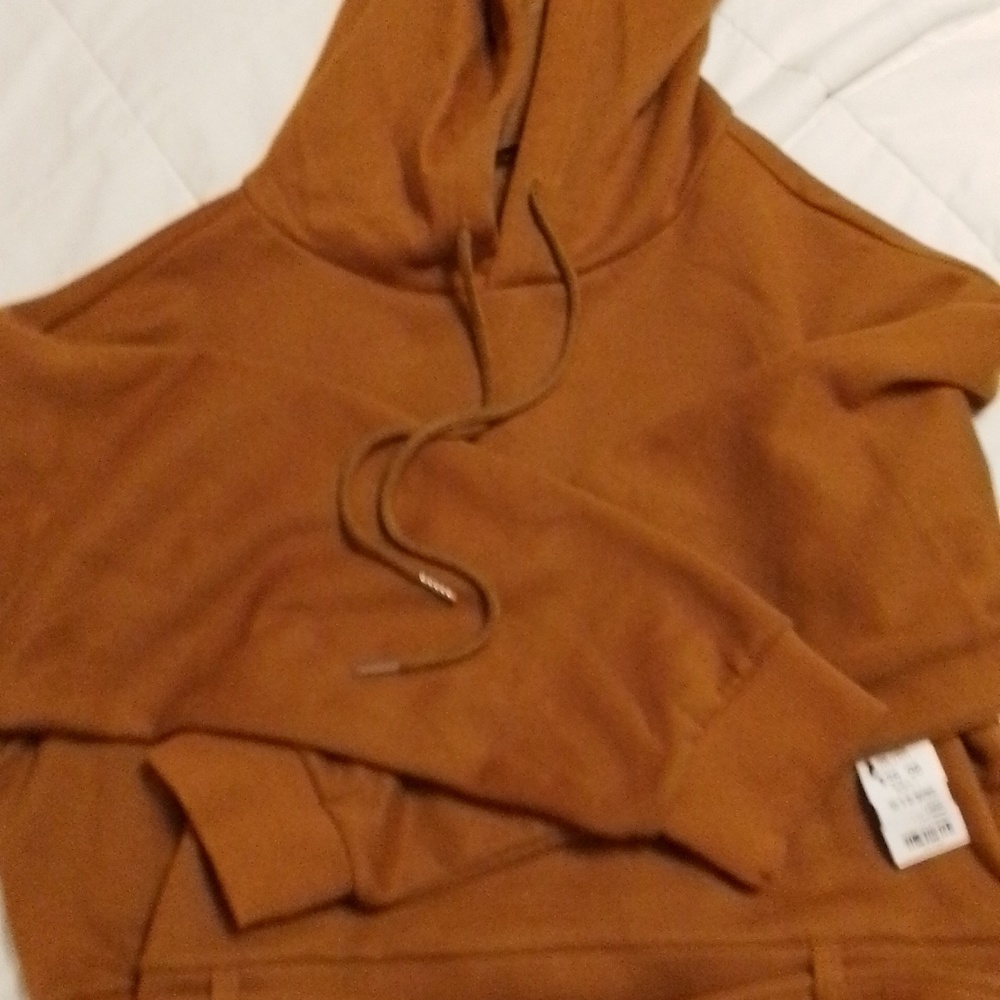 Easy To Say Sweatshirt Akira Brown Cropped Hoodie Lg
